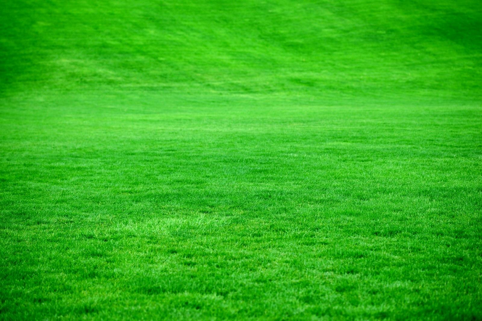 Terreno en Sinincay con acceso a vía principal